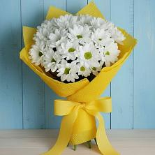 Букет цветов из:  Хризантемы в Веселое Адлер