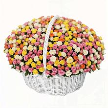 Премиум букет из: Розы в Веселое Адлер