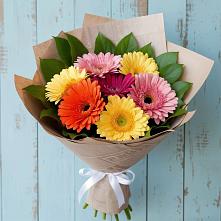 Букет цветов из:  Герберы в Веселое Адлер