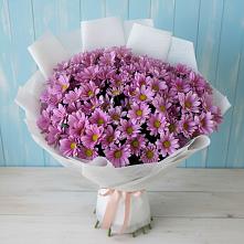 Букет цветов из:  Хризантемы в Веселое Адлер