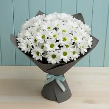 Букет цветов из:  Хризантемы в Веселое Адлер