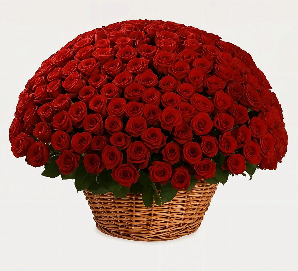 Премиум букет из: Розы в Веселое Адлер