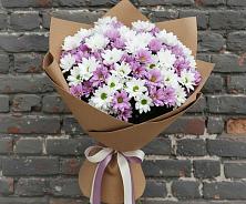 Букет цветов из:  Хризантемы в Веселое Адлер