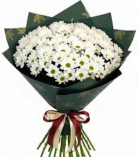 Букет цветов из:  Хризантемы в Веселое Адлер