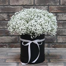 Цветочная композиция из Гипсофила в шляпной коробке в Веселое Адлер