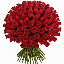 Букет Красные розы Чери Лав #REPLACE_PRED# Веселое Адлер