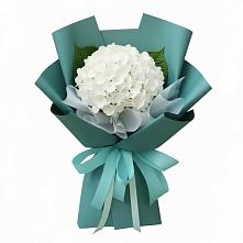 Букет цветов из:  Гортензия в Веселое Адлер